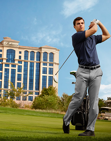 Golf Mobile Image
